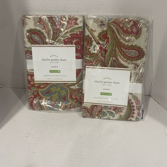 Pottery barn charley paisley sham cover - Picture 1 of 3